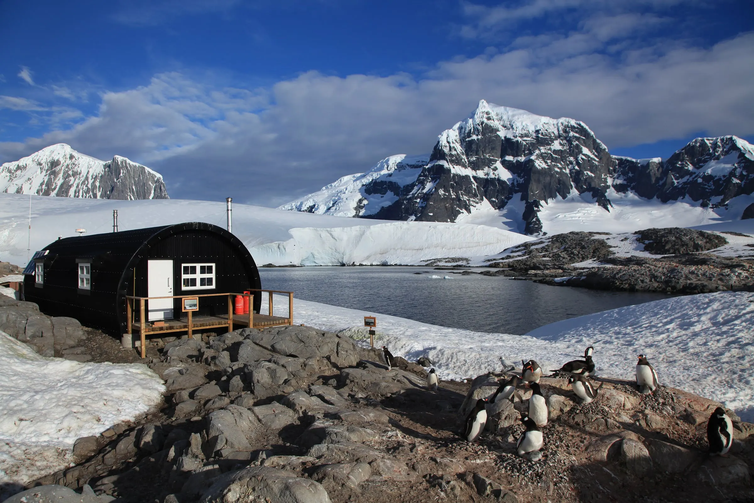 The black wooden hut of British Base A on Goudier Island at Port Lockroy, with gentoo penguins nesting beside it and mountains behind.